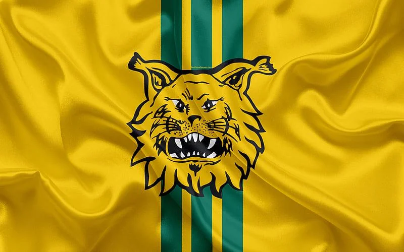 The Origins and Historical Milestones of Ilves FC